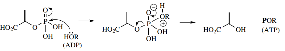 The Organic Chemistry Of Intermediary Metabolism Substrate Level Phosphorylations