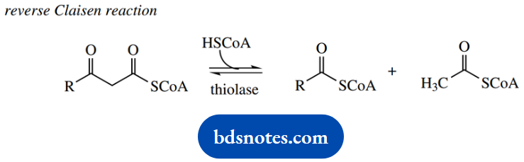 The Organic Chemistry Of Intermediary Metabolism Synthesis Of Fatty Acids