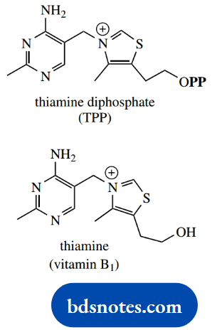 The Organic Chemistry Of Intermediary Metabolism Thiamine Diphospahte