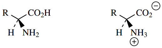 The Organic Chemistry Of Intermediary Metabolism Zwitterions