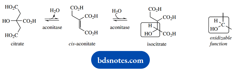 The Organic Chemistry Of Intermediary Metabolism cis aconitate