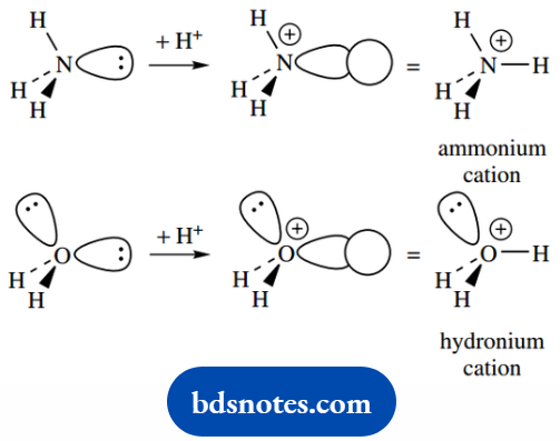 Atomic Structure And Bonding Ammonium And Hydronium Cations