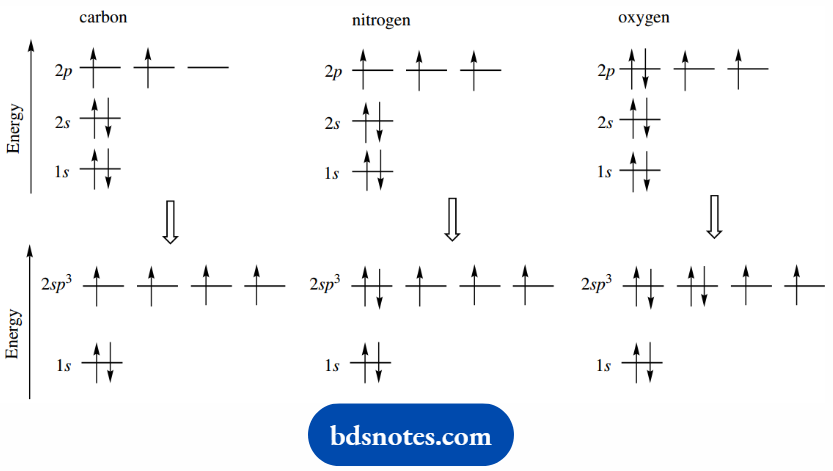 Atomic Structure And Bonding Electronic Configuration sp3 Hybridized Nitrogen And Oxygen