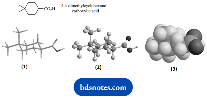 Atomic Structure And Bonding Molecular Models depicting 4,4-dimethylcycloxanecarboxylic Acid
