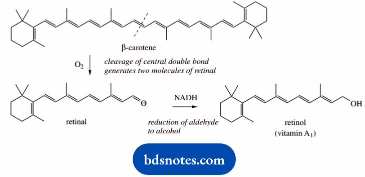 Atomic Structure And Bonding Vitamin A