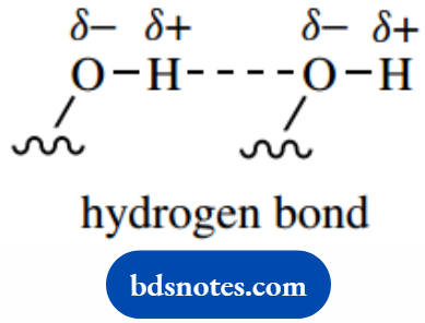 Atomic Structure And Bonding hydrogen Bond