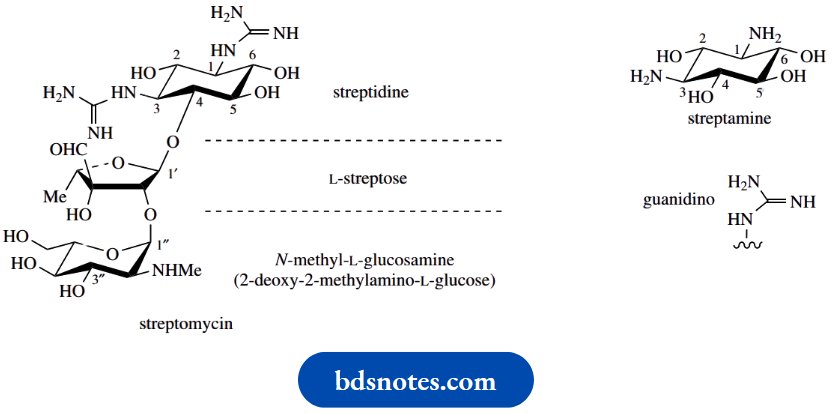 Carbohydrates Aminosugars And Aminoglycosides