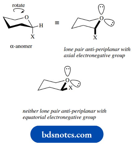 Carbohydrates Anomeric Effect