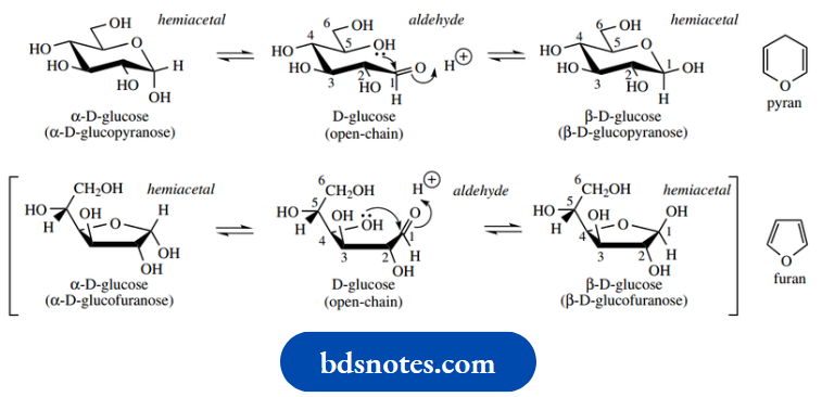 Carbohydrates Cyclic Hemiacetals And Hemiketals
