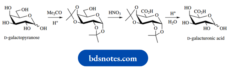 Carbohydrates D Galactopyranose Form of D Galacturonic Acid
