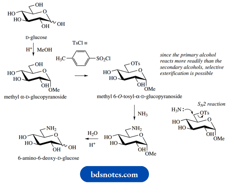 Carbohydrates D Glucosamine And D Galactosamine