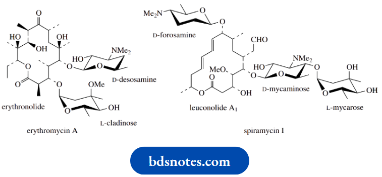 Carbohydrates Erythromycin