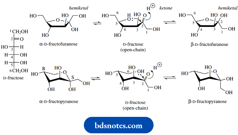 Carbohydrates Fructose