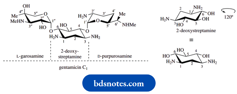 Carbohydrates Gentamicin C1