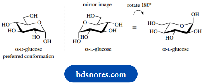 Carbohydrates Heterocyclic Oxygen
