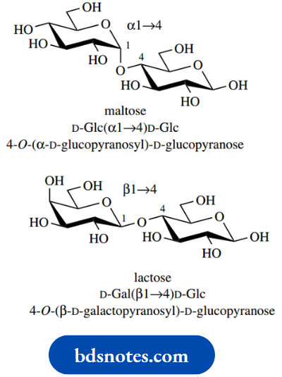 Carbohydrates Maltose And Lactose