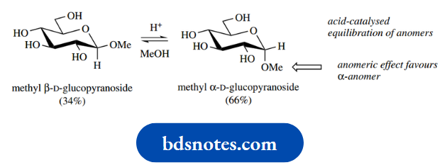 Carbohydrates Methyl Beta D Glucopyranoside