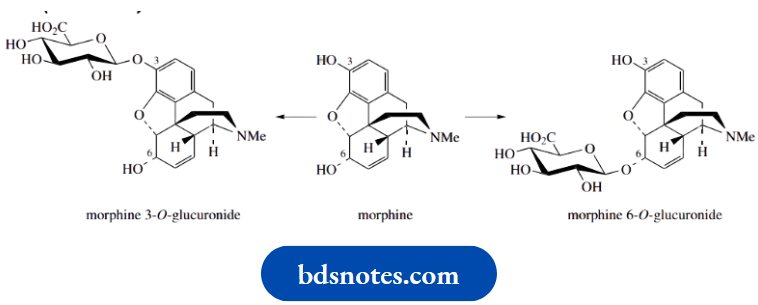 Carbohydrates Morphine