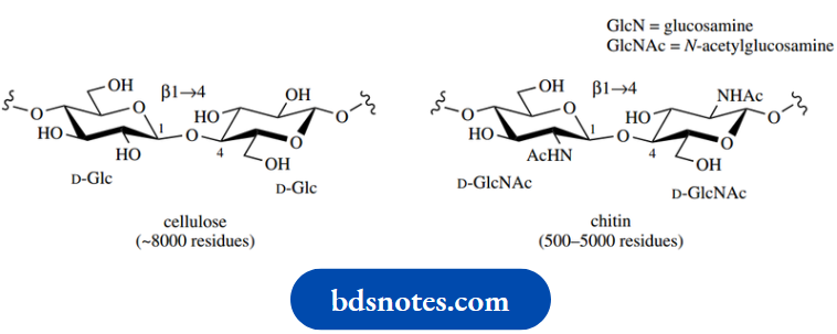 Carbohydrates Polymers Containing Aminosugars