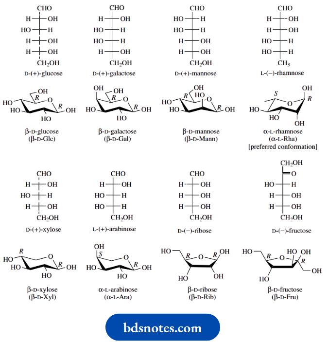 Carbohydrates Ring Size And Anomeric Form Of Common Sugars