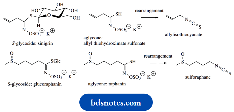 Carbohydrates Singrin