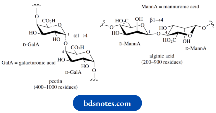 Carbohydrates SomeExamples oF Natural Uronic Acid Derivatives