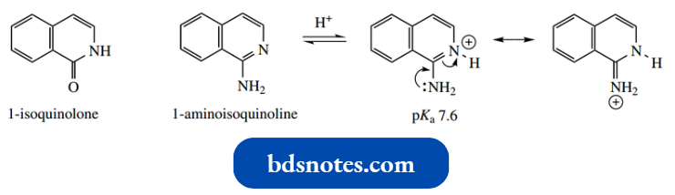 Heterocycles 1 Isoquinolone 1 Aminoisoquinoline