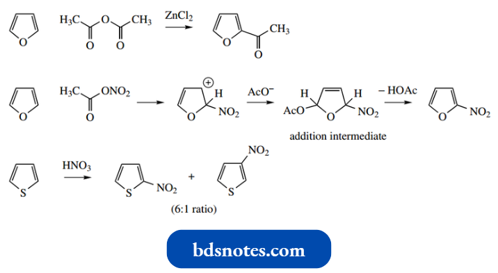 Heterocycles 2 And 3 Nitrothiophene