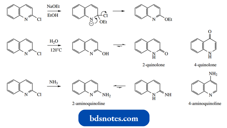 Heterocycles 2 Quinolone And 4 Quinolone