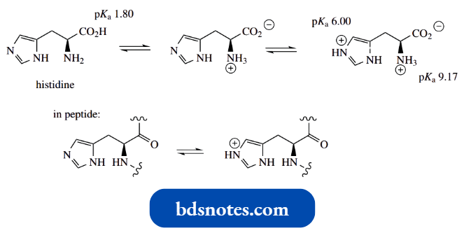 Heterocycles Acid Base Properties