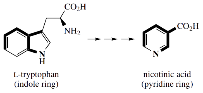 Heterocycles An Intriguing Feature Of Nicotinic Acid