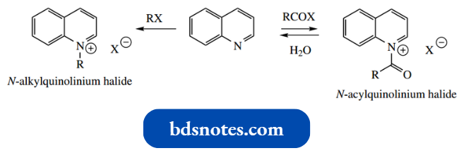 Heterocycles Benzopyridines