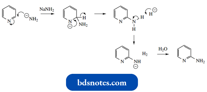 Heterocycles Chichibabin Reaction
