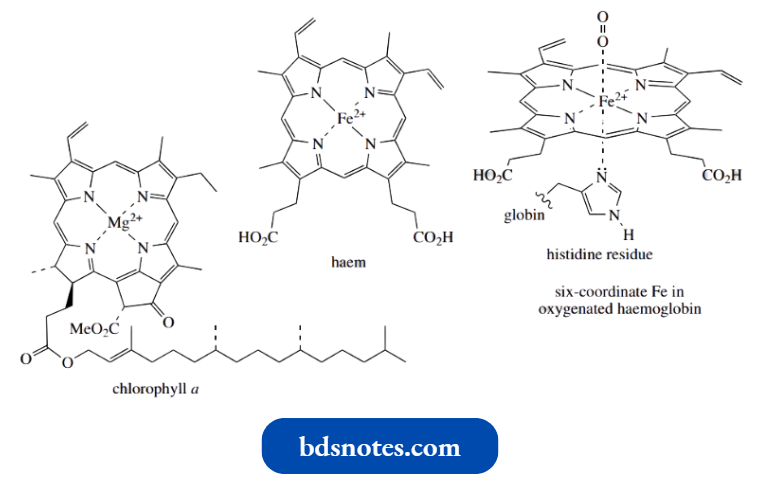 Heterocycles Chlorophyll