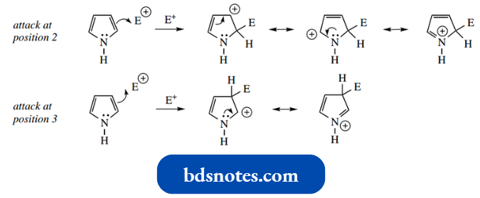 Heterocycles Cyclopentadiene