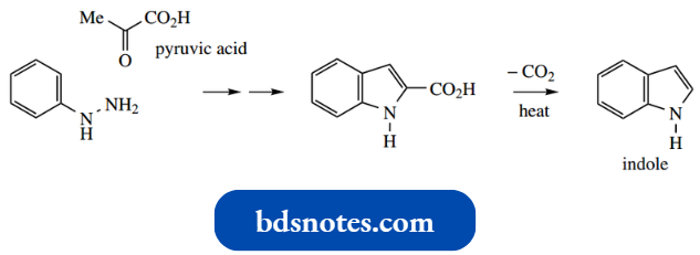 Heterocycles Decarboxylate The Product To Yield Indole