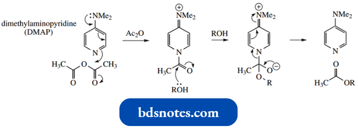 Heterocycles Dimethylaminopyridine