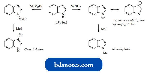 Heterocycles Electronegative Nitrogen