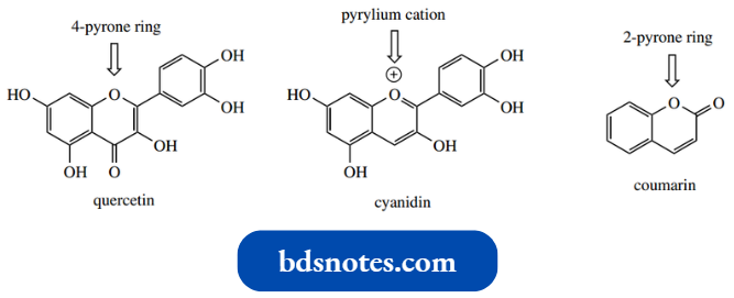 Heterocycles Flavonoids