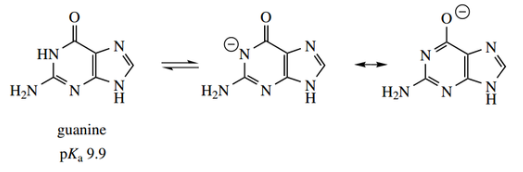 Heterocycles Guanine
