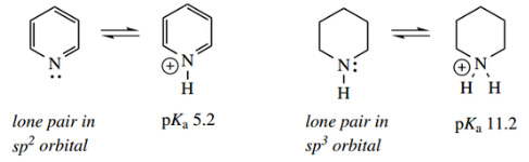 Heterocycles Hybridization Effect