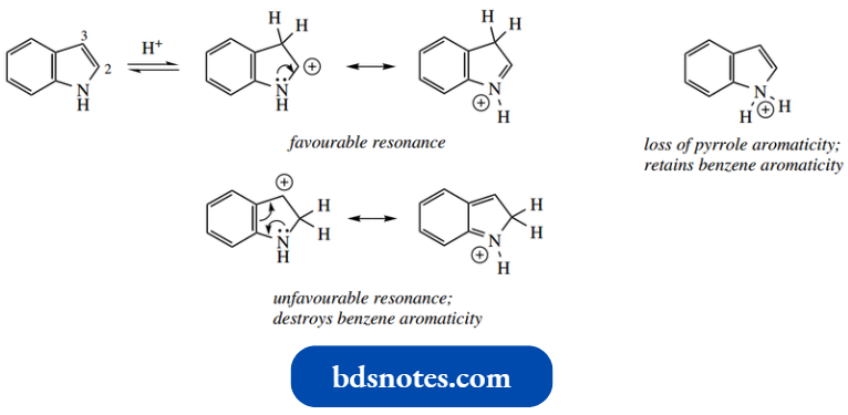 Heterocycles Indole