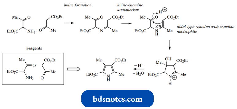 Heterocycles Knorr Pyrrole Synthesis