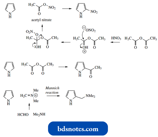 Heterocycles Mannich Reaction