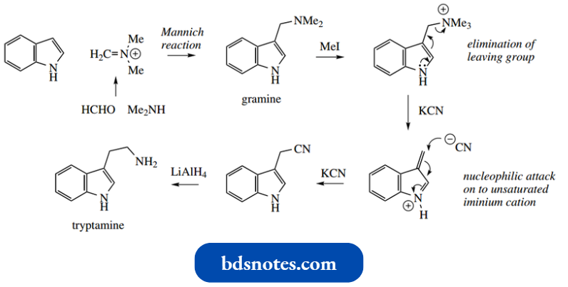 Heterocycles Mannich Reactions