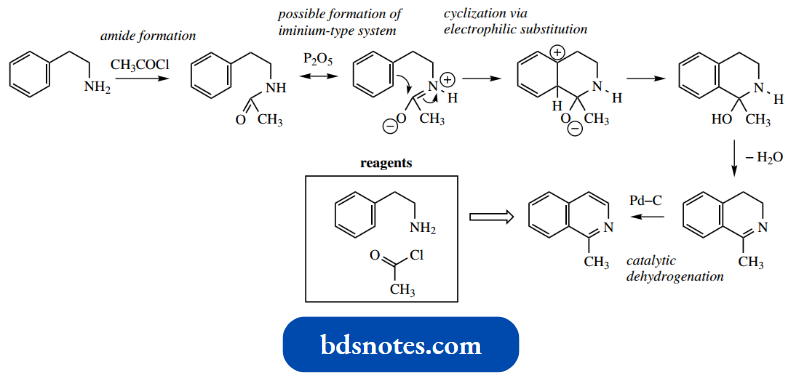Heterocycles Napieralski Isoquinoline Synthesis