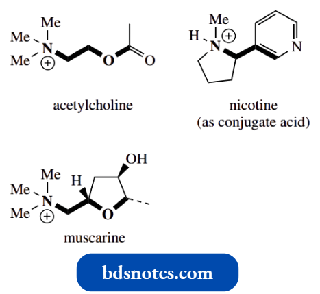 Heterocycles Nicotinic Acetylcholine Receptors