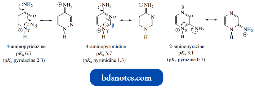 Heterocycles Nitrogen Is Protonated From The Ring Nitrogen Amino