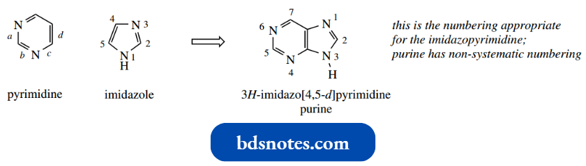 Heterocycles Nomenclature