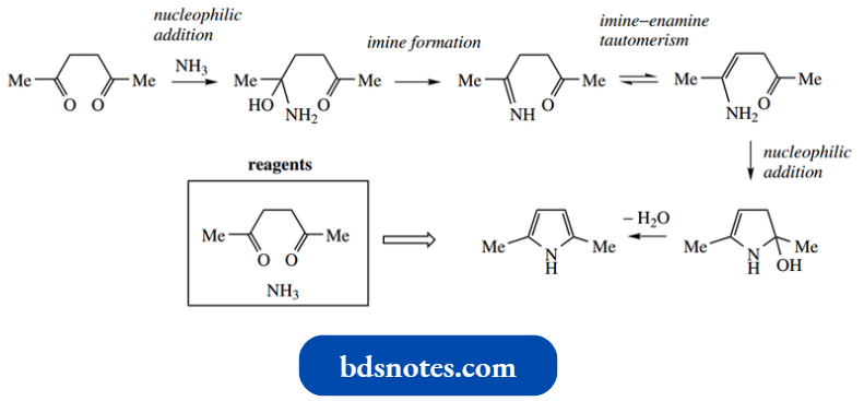 Heterocycles Paal Knorr Pyrrole Synthesis